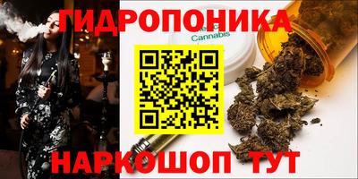 стаф Донской