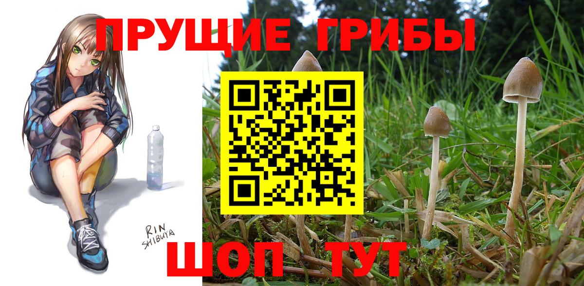 Мытищи  Галлюциногенные грибы Psilocybe  Псилоцибиновые грибы Magic Shrooms  Вход с VPN 