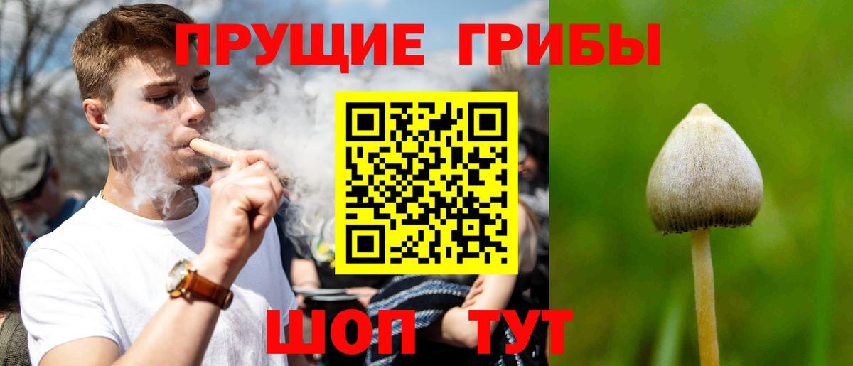 Псилоцибиновые грибы GOLDEN TEACHER Мытищи